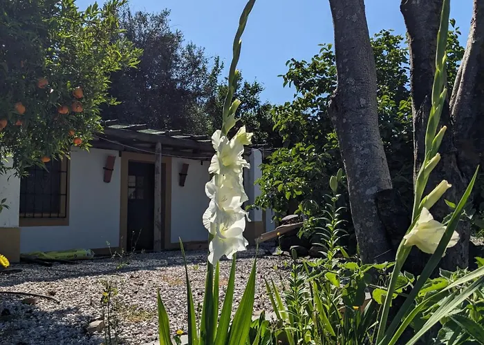 Riverlake House - Frente Ao E Com Jardim * Vila de Rei